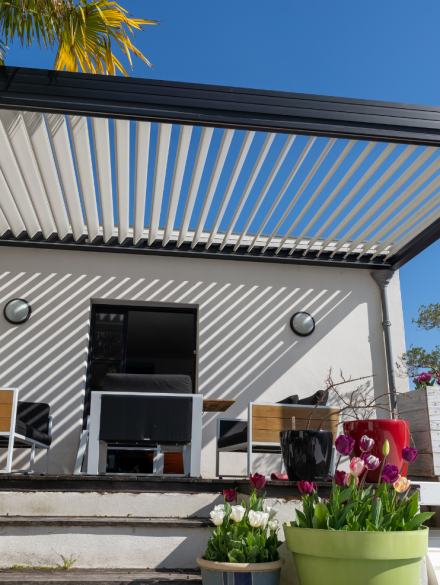 Untitled design (18)